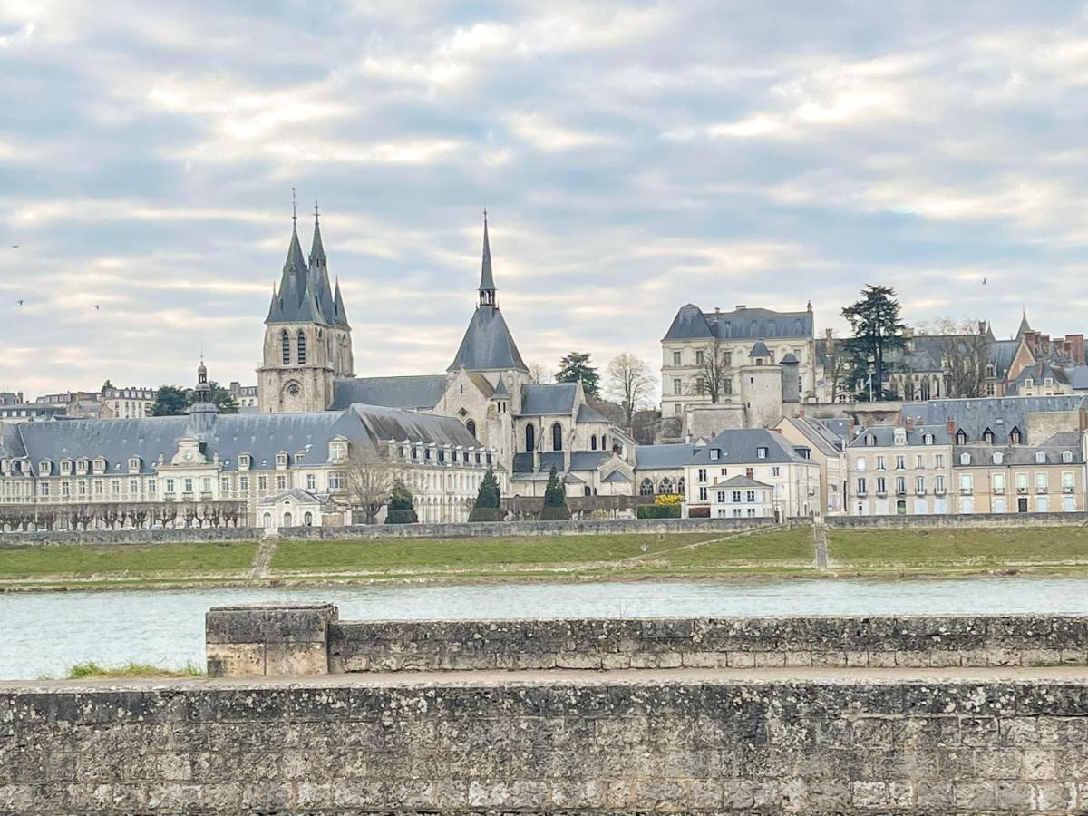 La Maison Des Chalands Blois